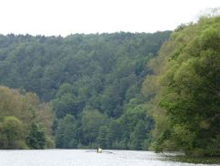 Ein Ruderboot auf der Fulda. Im Hintergrund ist Wald zu sehen.